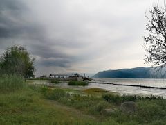 -才村湿地公园