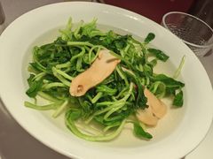 -森隆饭庄(崇文门新世界百货店)