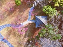 -黄陂区野村谷景区