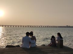 -宝安西湾红树林湿地公园