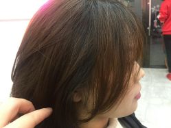 点击看大图 -YDO SALON