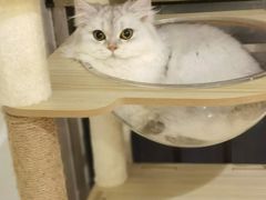 -博特宠物医院24h犬猫全科.骨科·异宠
