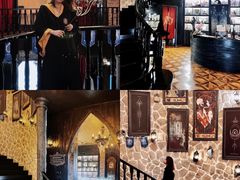 -雪灵魔法世界SHELLY’S TAROT(大良桂畔里店)