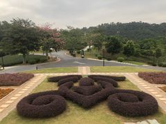 -东莞植物园