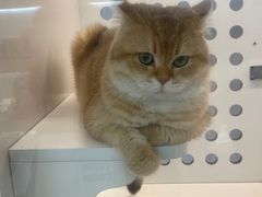 -comecome来吧宠物(奥克斯中心店)