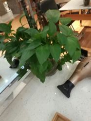 -梵创造型