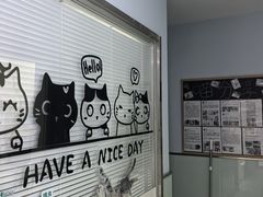 -纳吉亚猫专科动物医院博雅分院