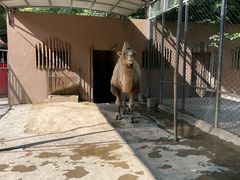 -荆州中山公园动物园