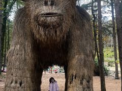 -洛阳白云山景区