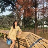 小众·整个深圳秋意最浓的地方
