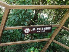-呀诺达热带雨林