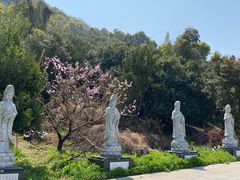 -海宁市观音寺