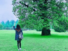 -武汉大学-樱园