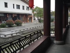 -溱湖国家湿地公园