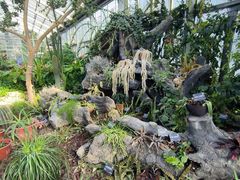 -国家植物园南园