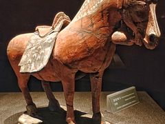 -大同市博物馆