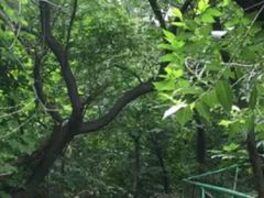 -封龙山风景区