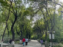 -文瀛公园