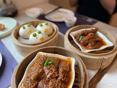 -点都德·毕德寮