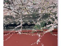 -西安市广仁寺