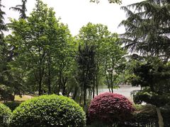 -后襄河公园