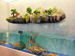 -外滩·云南人家(昆明旗舰店)