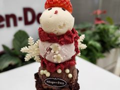 -哈根达斯(绍兴银泰店)