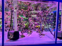 -三旗百汇商品城