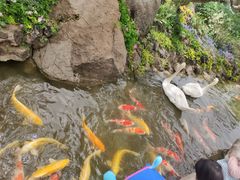 -罗红摄影艺术馆