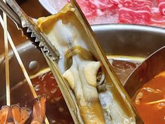 -揽季锅物会.福建黄鱼.海鲜姿造(五四路店)