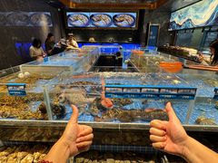 -青蓬蒸汽海鲜·深圳老字号·团建聚会(壹方城店)
