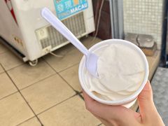 -洪馨椰子