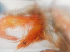 -半岛听涛蒸汽海鲜自助(K11店)