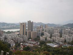 -福道