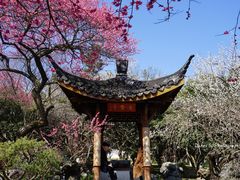 -杭州植物园