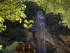 -少华山国家森林公园
