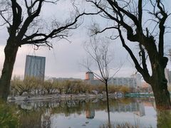 -青城公园