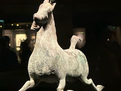-甘肃省博物馆
