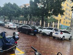 -吉英盐焗鸡(文中路店)
