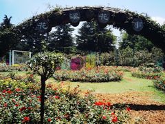 -花溪公园