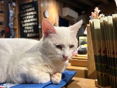 -新月集庭院咖啡馆(老邮局店)