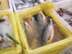 -众彩物流水产市场