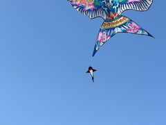 -悦海公园