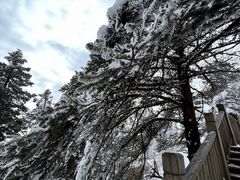 -西岭雪山大飞水景区
