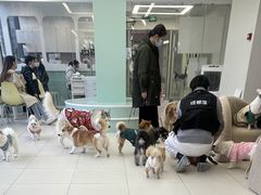 -怪兽屋·羊驼·猫咖·狗咖(俊华广场店)