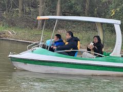 -上海海湾国家森林公园