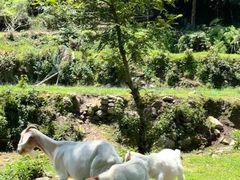 -雁荡山风景名胜区