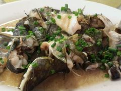 android_upload_pic-小河湾酒店