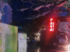 -烟台海昌鲸鲨海洋公园