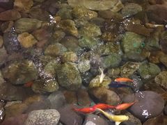 -山有花啡餐厅(常营总店)